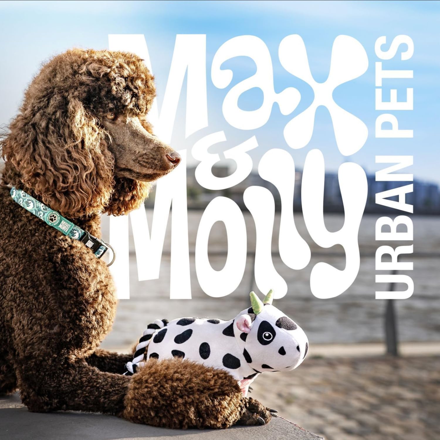 Max & Molly Matrix 2.0 Ultra LED, Hundelicht für Geschirr, Leine & Halsband, Jade, Wasserfest, USB Wiederaufladbar, Hundelampe LED, Hunde Leuchtanhänger für mehr Sicherheit bei Nacht