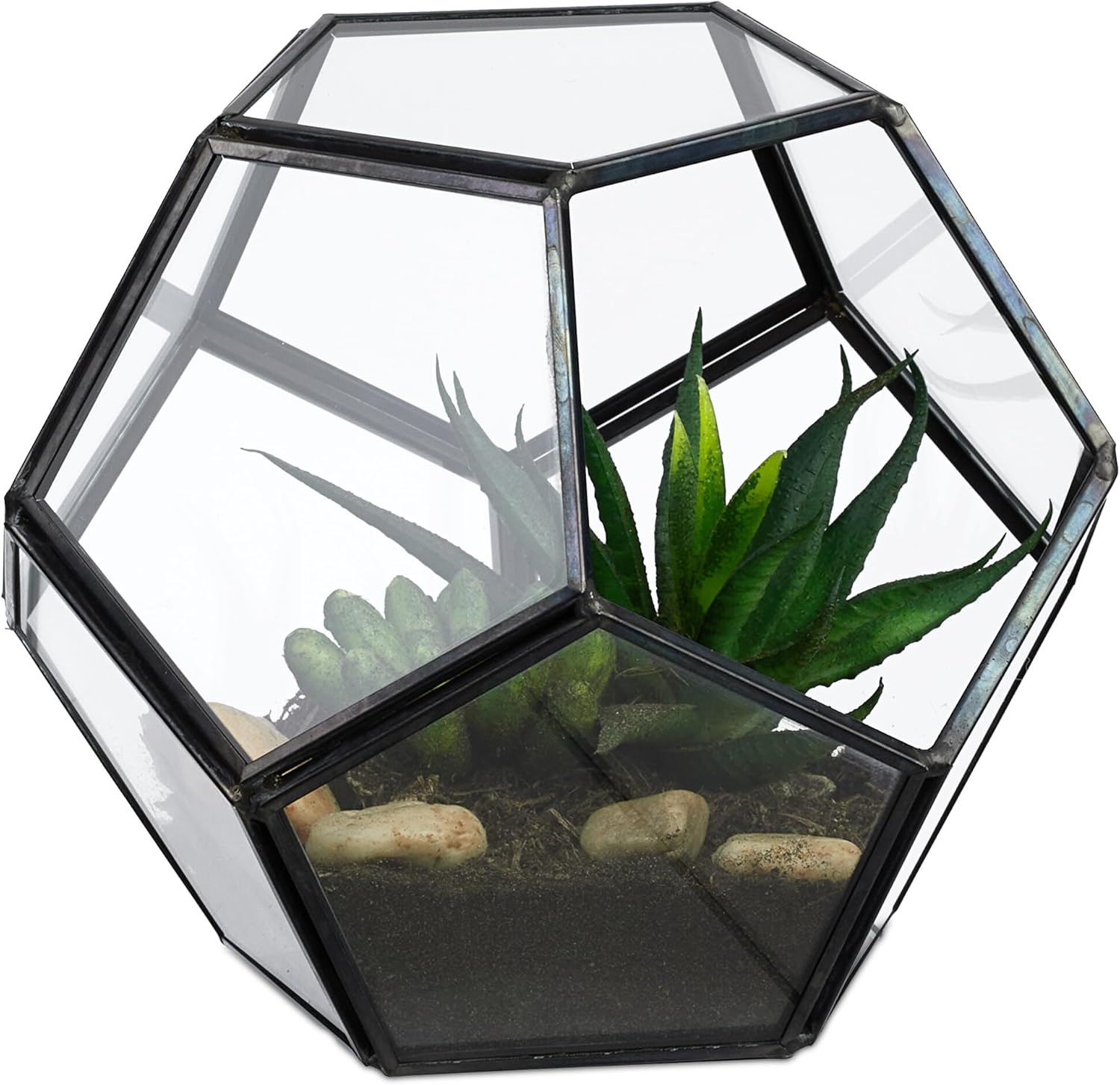 Relaxdays Pflanzenterrarium, Glas & Zinn, Deko-Glashaus für Kakteen & Moos, offene Glasbox für Fensterbank, schwarz Relaxdays Pflanzenterrarium, Glas & Zinn, Deko-Glashaus für Kakteen & Moos, offene Glasbox für Fensterbank, schwarz