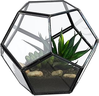 Relaxdays Pflanzenterrarium, Glas & Zinn, Deko Glashaus für Kakteen & Moos, offener Glaskasten für Fensterbank, schwarz