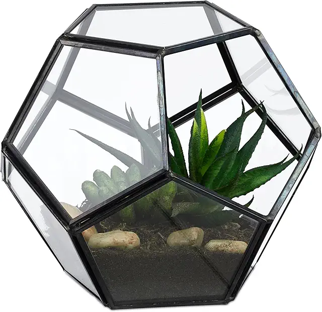 Schwarzes Pflanzenterrarium aus Glas & Zinn für Kakteen & Sukkulenten