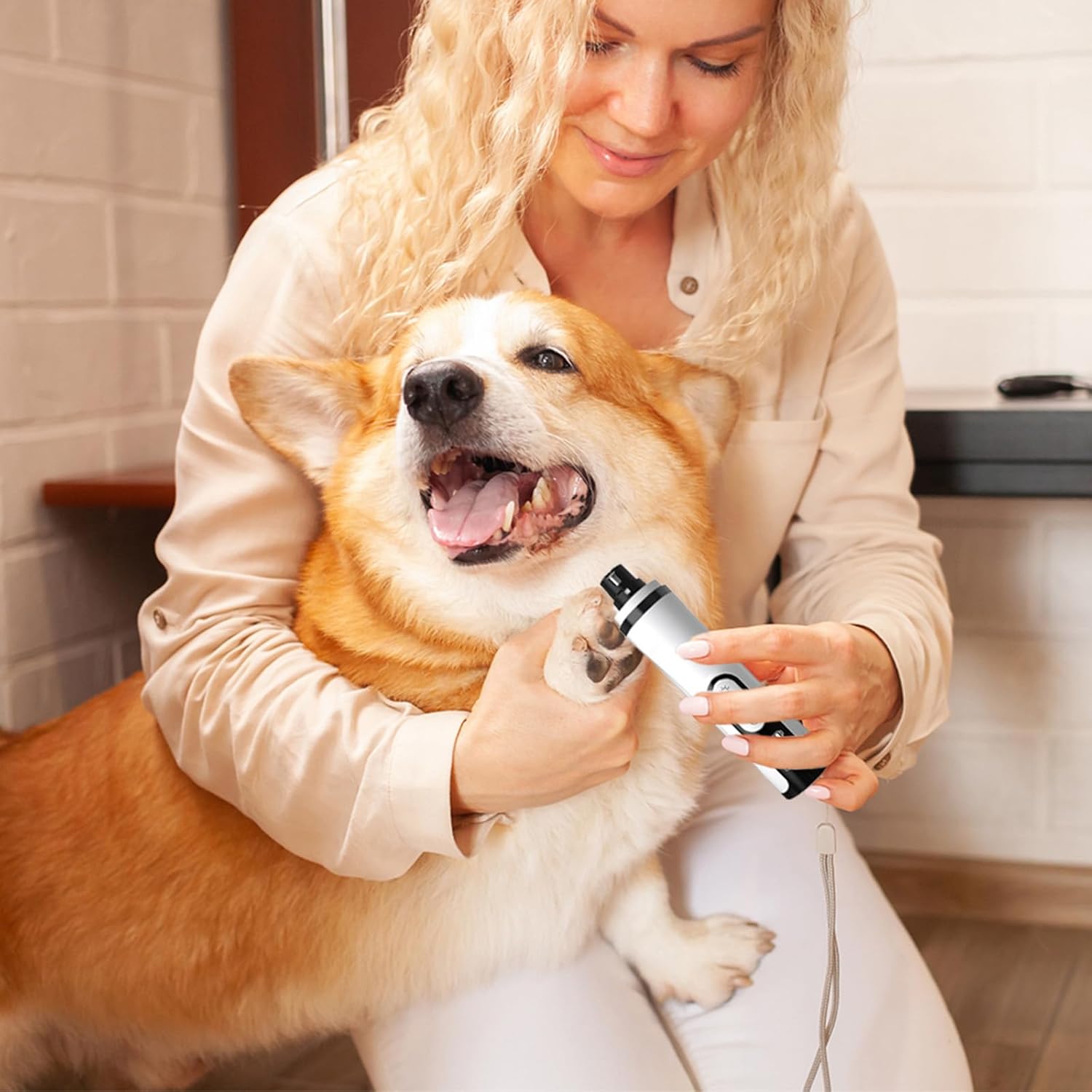 Silent Groom Pro Pet Nail Grinder, Silent Groom Pro Nail Grinder with Led Light, Pet Nail Trimmer with 2 Replacement Heads, Paws Grooming & Smoothing for Dogs Cats