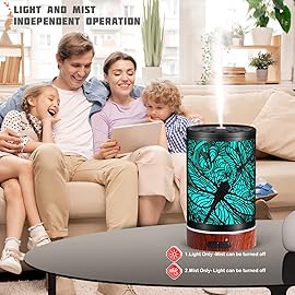 Essential Oils Diffuser,Aromatherapy Diffuser,Birthday for Women Mom Grandma,Metal Cool Mist Humidifier with 7 Colors Lights Waterless Auto Off Air Diffusers (Dragonfly)