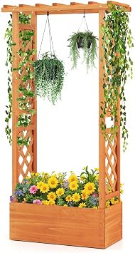 Raised Garden Bed with Trellis, Outdoor Wooden Planter Stand Box with Hanging Roof and Drainage Holes, Elevated Garden Bed for Climbing Plants, Vines, Flowers, 31" x 14" x 60" 1