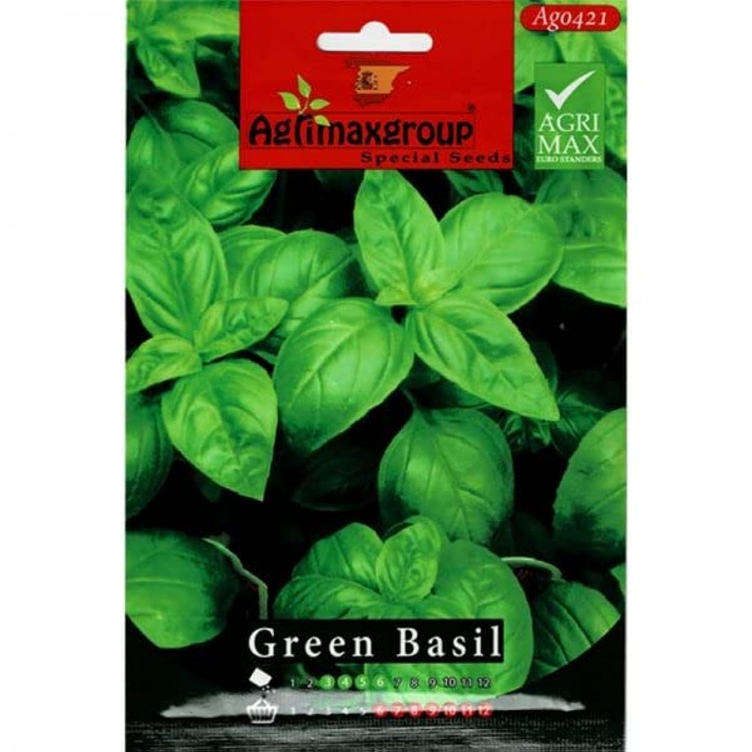 Green Basil Premium Quality Seeds by Agrimaxgroup® "Garden Care"