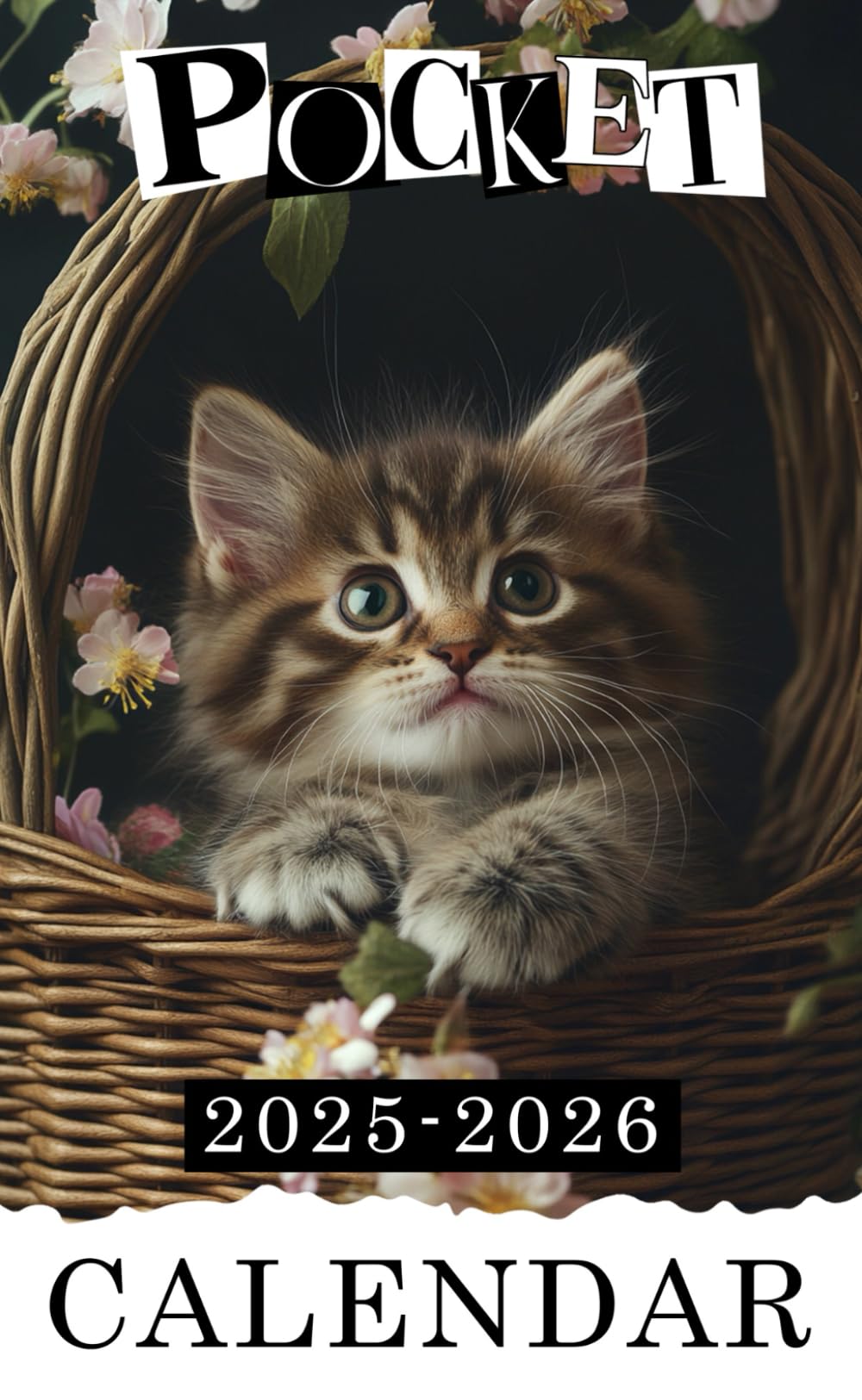 Pocket Calendar 20252026 TwoYear Monthly Planner for