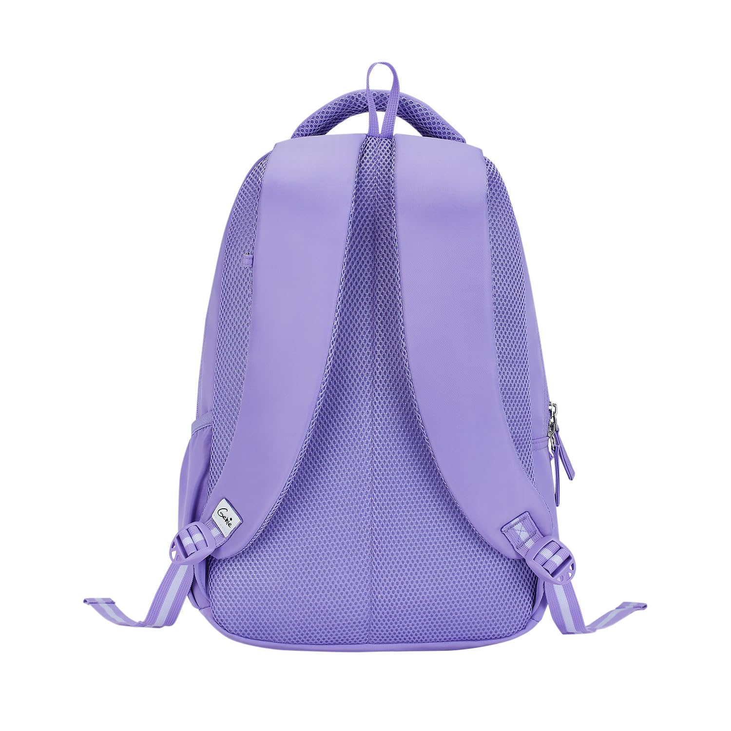 Genie Pearl School Backpack for Girls |17 In-27 Ltr with Three Compartments, Side Pockets and Light Weight with Padded Shoulders |Best for Books,Stationery, Lunch Box & Essentials - Purple 2