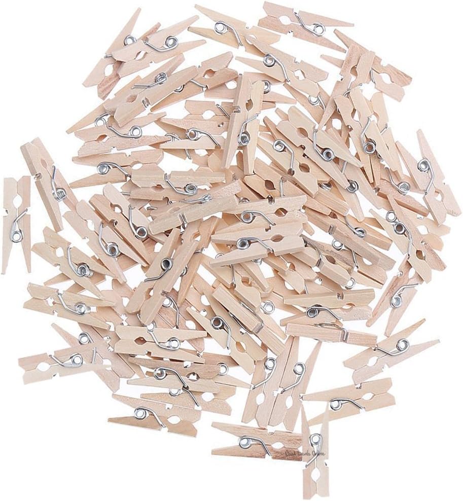 Arts and Crafts Colourful 2.5cm Mini Wooden Pegs - 100pcs in each pack - Ideal for Hanging Photos, clothes, kids arts and crafts (100 Wooden Pegs)