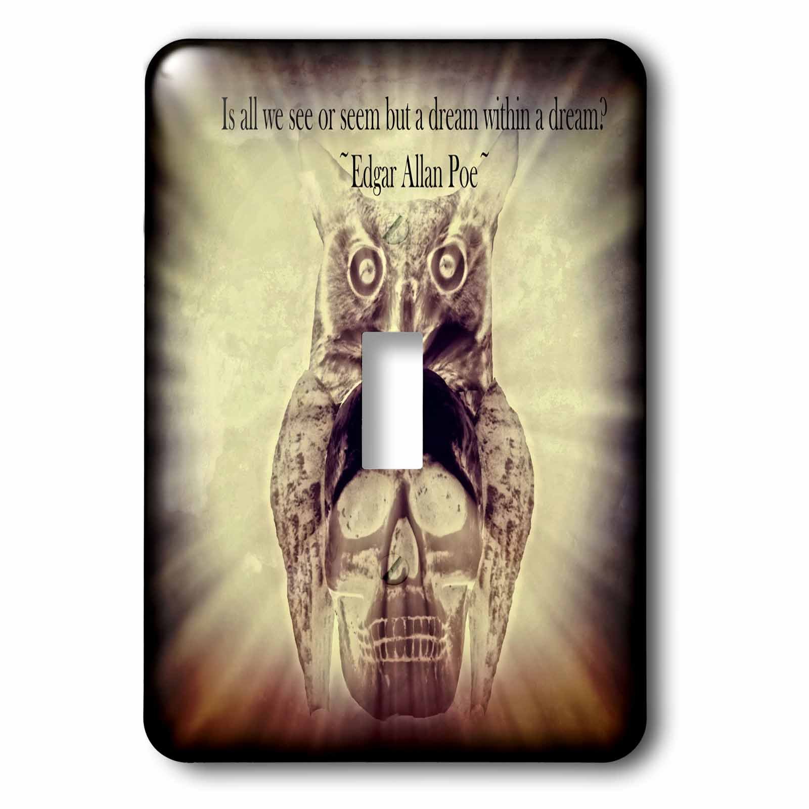 Interrupteur simple Owl Skull par 3dRose décor gothique Edgar Allan Poe
