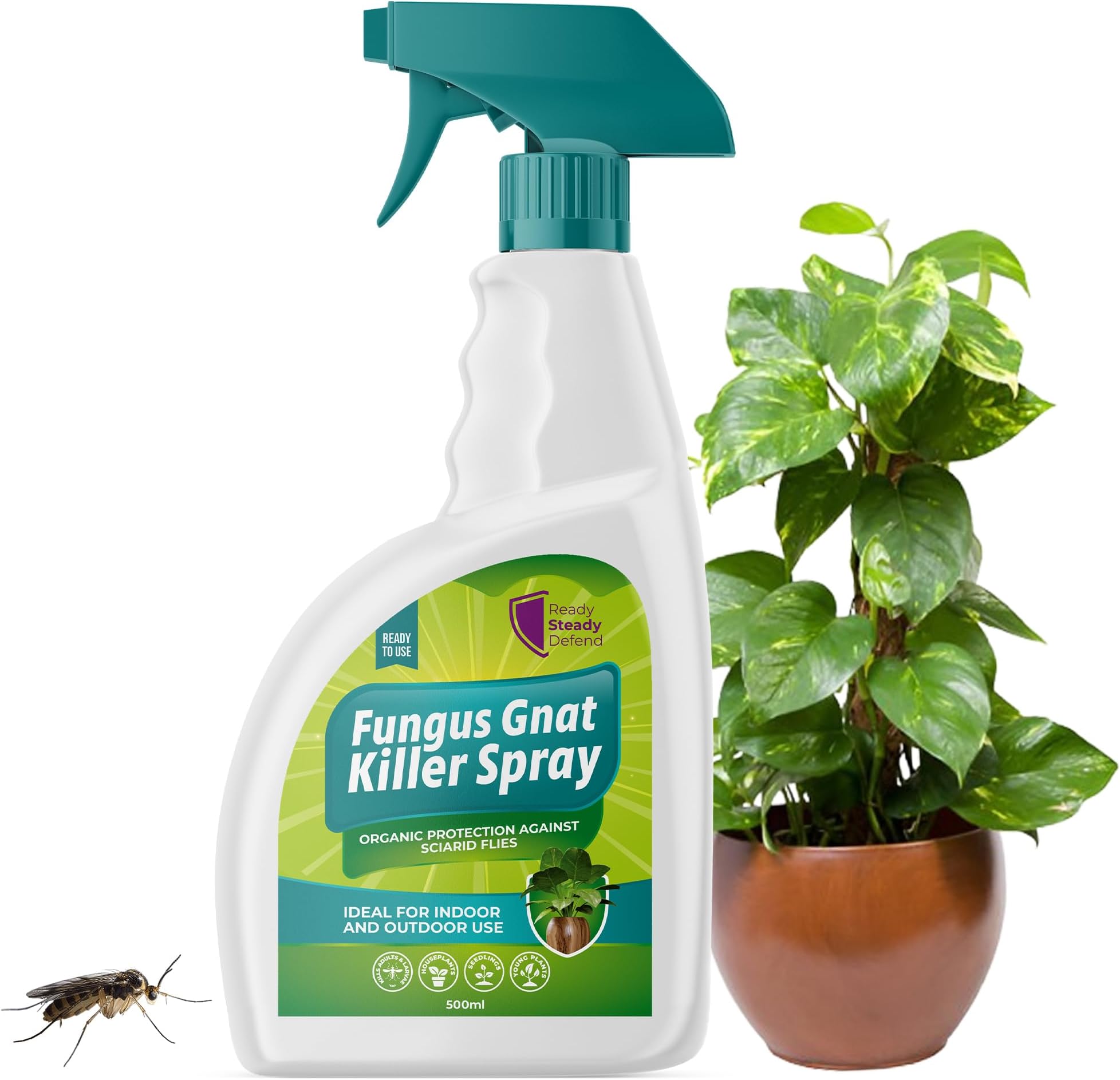 Fungus Gnat Killer Spray 500ml | Organic Protection Against Sciarid Flies | Effective for Houseplants, Seedlings | Safe for Indoor & Outdoor Use | Targets Adults & Larvae | Eco-Friendly Formula