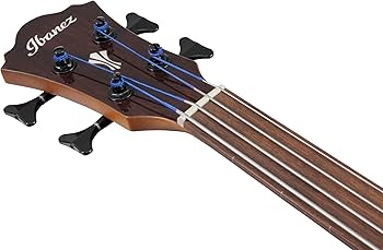 Amazon | Ibanez アイバニーズ フィンガーレスト装備のフレットレス