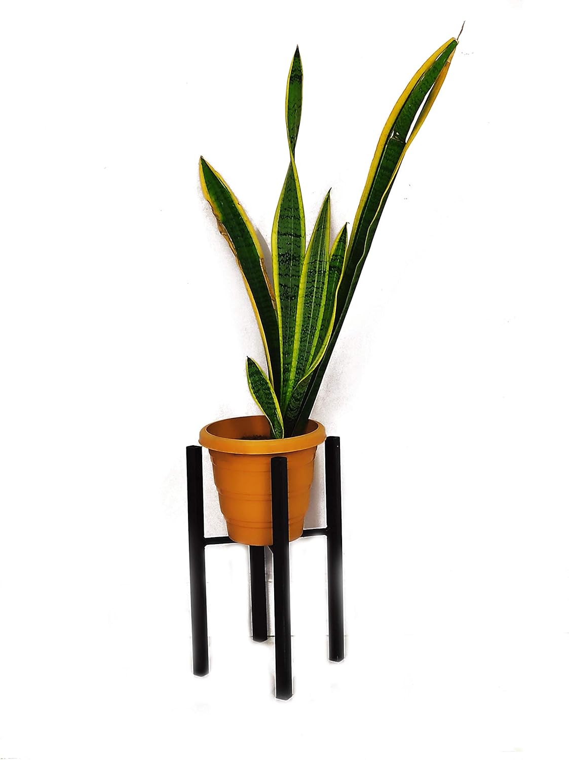 VOWDEAL Stylish Four Arm Plant Stand Amazon.in Garden & Outdoors