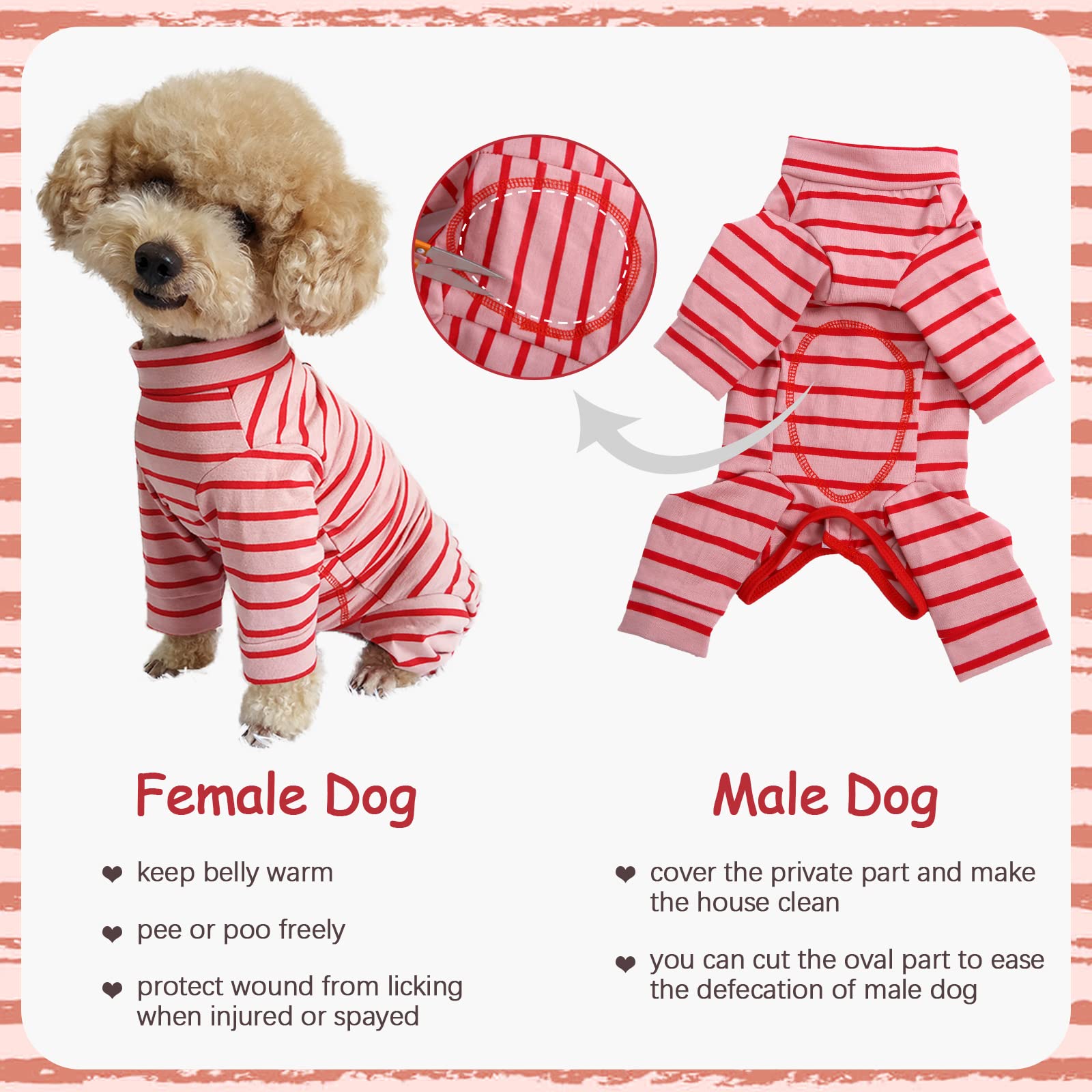 Kuoser Combinaison de récupération pour chien Combinaison à manches longues après une chirurgie Pour la perte de la peau Protection contre les maladies de la peau Pyjama antiléchage