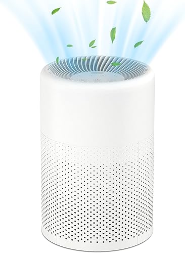 WETIE Purificadores de aire HEPA para el hogar purificadores de aire de oficina Filtrete purificadores de aire de filtro HEPA H13 purificadores de