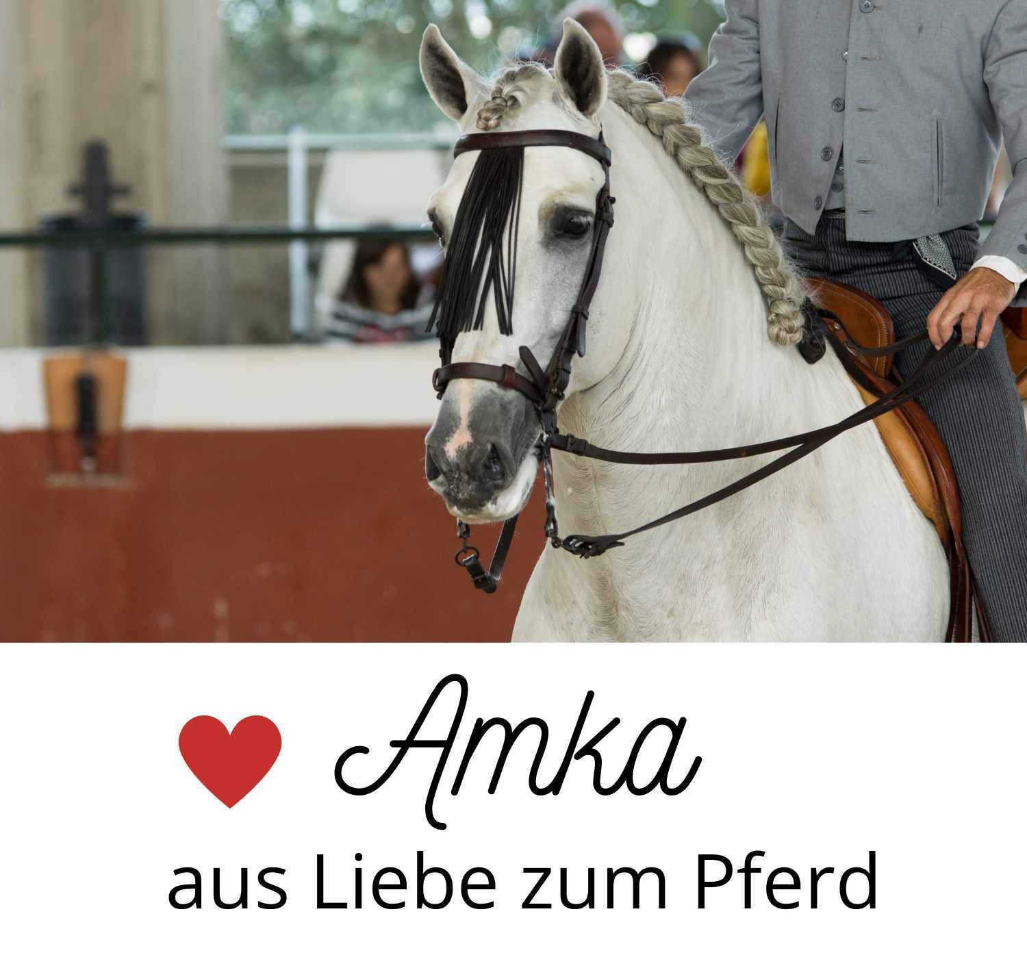 AMKA Barocksteigbügel Spanische - Portugiesische Steigbügel Messing 015/036