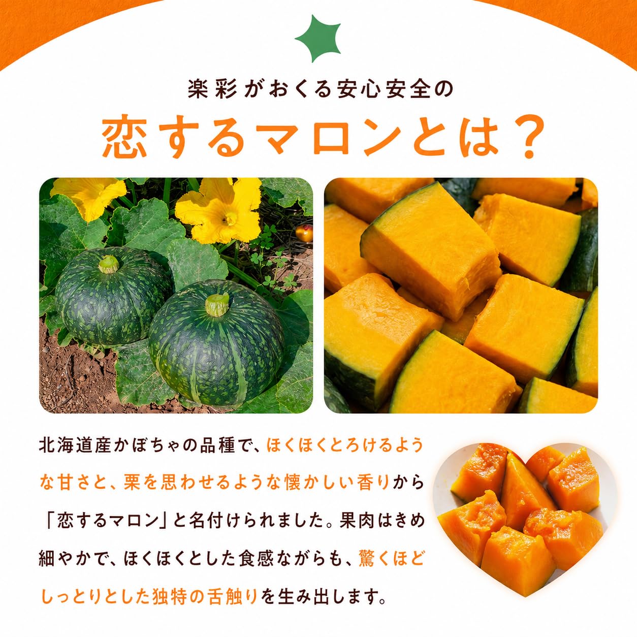 Amazon.co.jp: 【RAKUSAI】 冷凍国産かぼちゃ角切り一口サイズ（恋する
