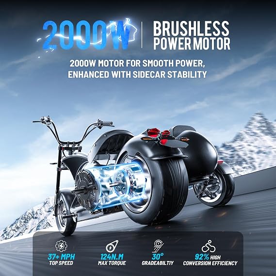eAhora 2000W 37MPH M1P Sidecar Electric Motorcycle for Adults 60v 30ah 40+ Miles Long Range Electric Sidecar Full Suspension 2 Persons Scooter 3 Wheels Mopeds for Pets/Cargo