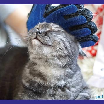 Allerpet Cat Dander Remover w/Free Pair of Grooming Gloves & Mitt (12oz)