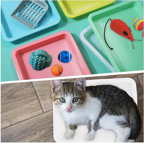 Miniatura 7 de 5 cajas de arena para gatitos, 9.65 x 7.28 x 0.98 pulgadas, caja de arena pequeña para gatos con espátula de arena poco profunda, bandeja de basura