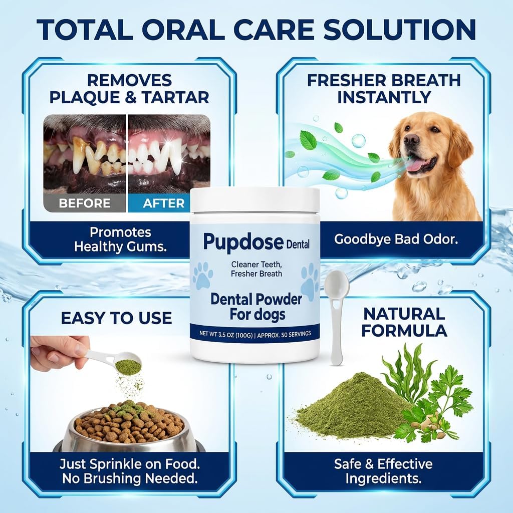 Powder, Fresh Breath Oral Care, 100 Scoops, 3.52oz image 5