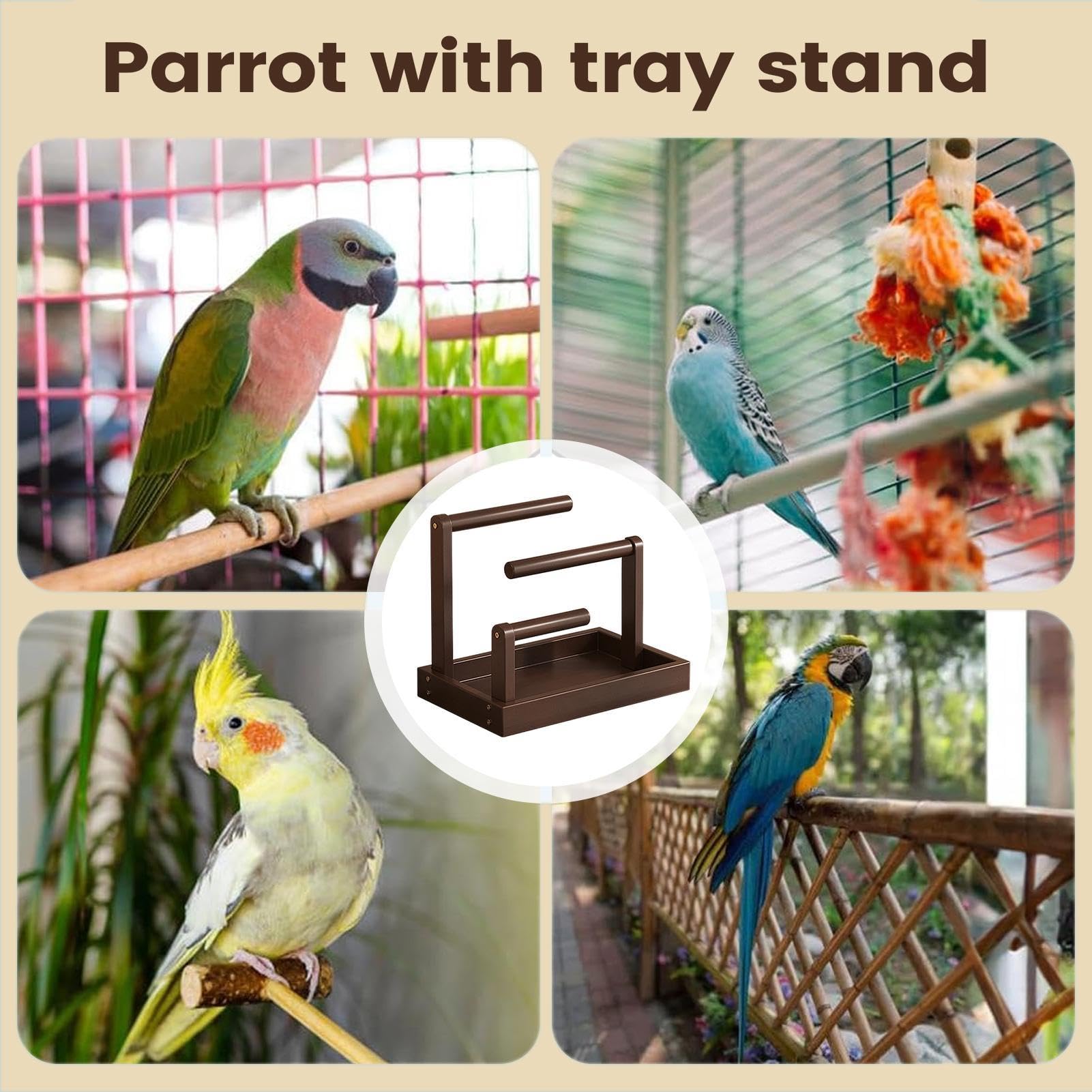 Perchoir pour Perroquet Déco Animalière à Trois Niveaux d'Enrichissement