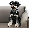 Product Photo 4
