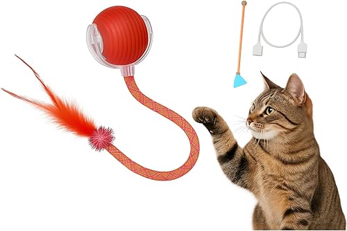 Pelota de juguete interactiva para gatos, juguete inteligente recargable con cola de mariposa, movimiento automático, juguetes para gatos de
