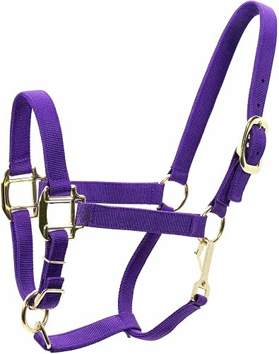 Jeffers Equine Horse Halter w/Throat Snap, Purple -Durable 3 Ply Nylon, Adjustable Chin Strap, Durable Hardware, Comfortable Fit, Equestrian Tack for Training, Grooming, Leading - Arabian 500-800lb