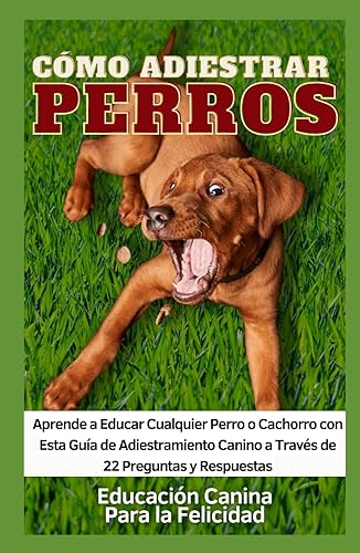 Cómo Adiestrar Perros: Aprende a Educar Cualquier Perro o Cachorro con Esta Guía de Adiestramiento Canino a Través de 22 Preguntas y Respuestas
