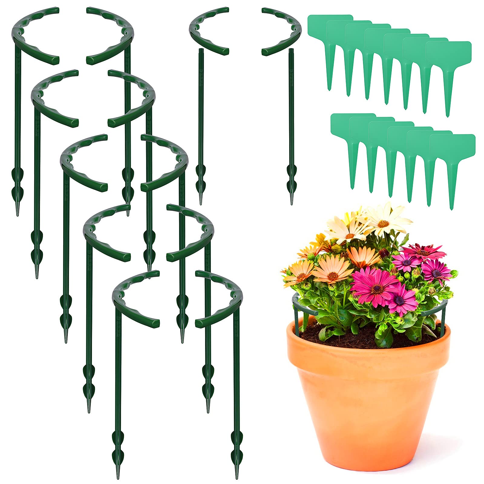 Buy PAFUWEI 24 Pack Plant Stakes Set, 12 Pack Half Round Plant Support