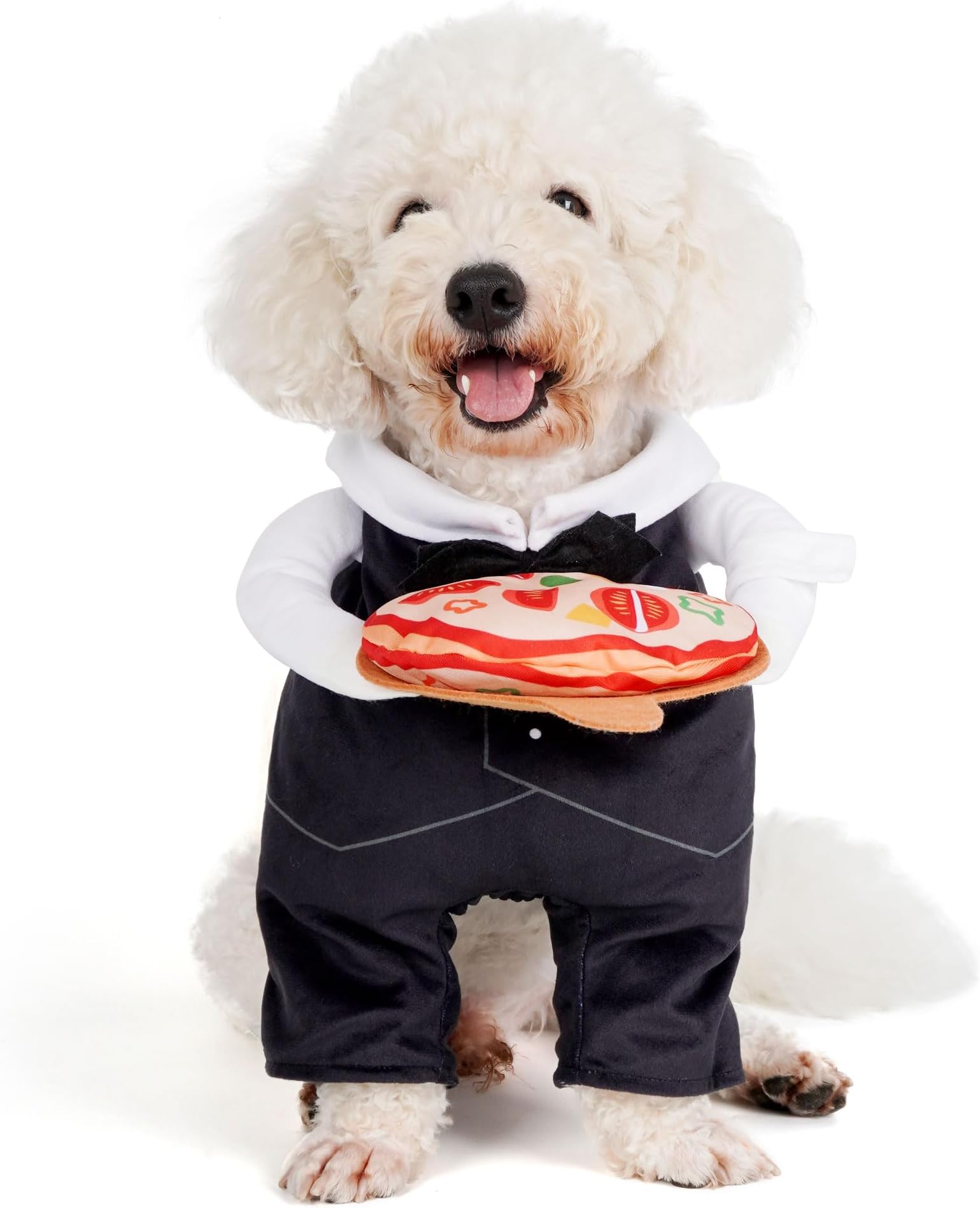 Amazon.com : cyeollo Waiter Dog Halloween Costumes, Cute Funny Dog ...