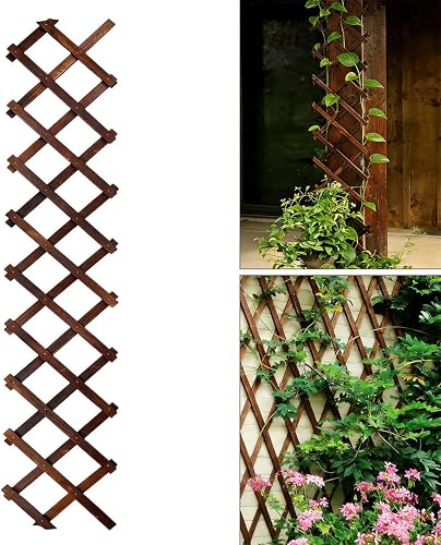 Expandable Garden Trellis, 13"x68" Trellis for Climbing Plants Outdoor | Thicken Wooden Lattice for Ivy Vine Rose Clematis for Garden Fence Wall Patio Room Decor, Brown 1Pcs