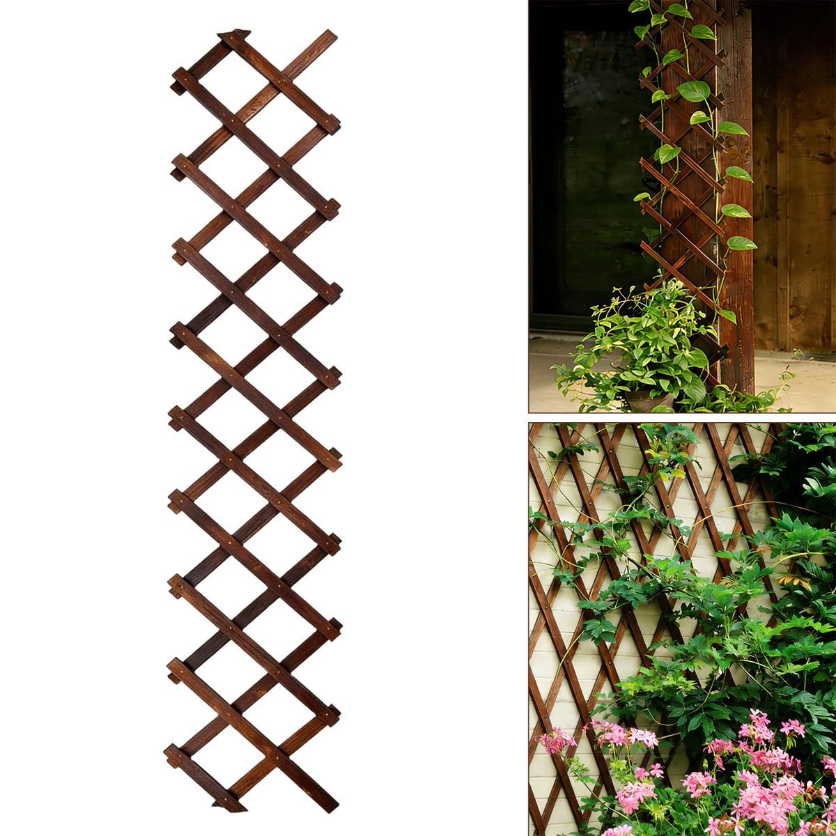 Bounmer Expandable Garden Trellis