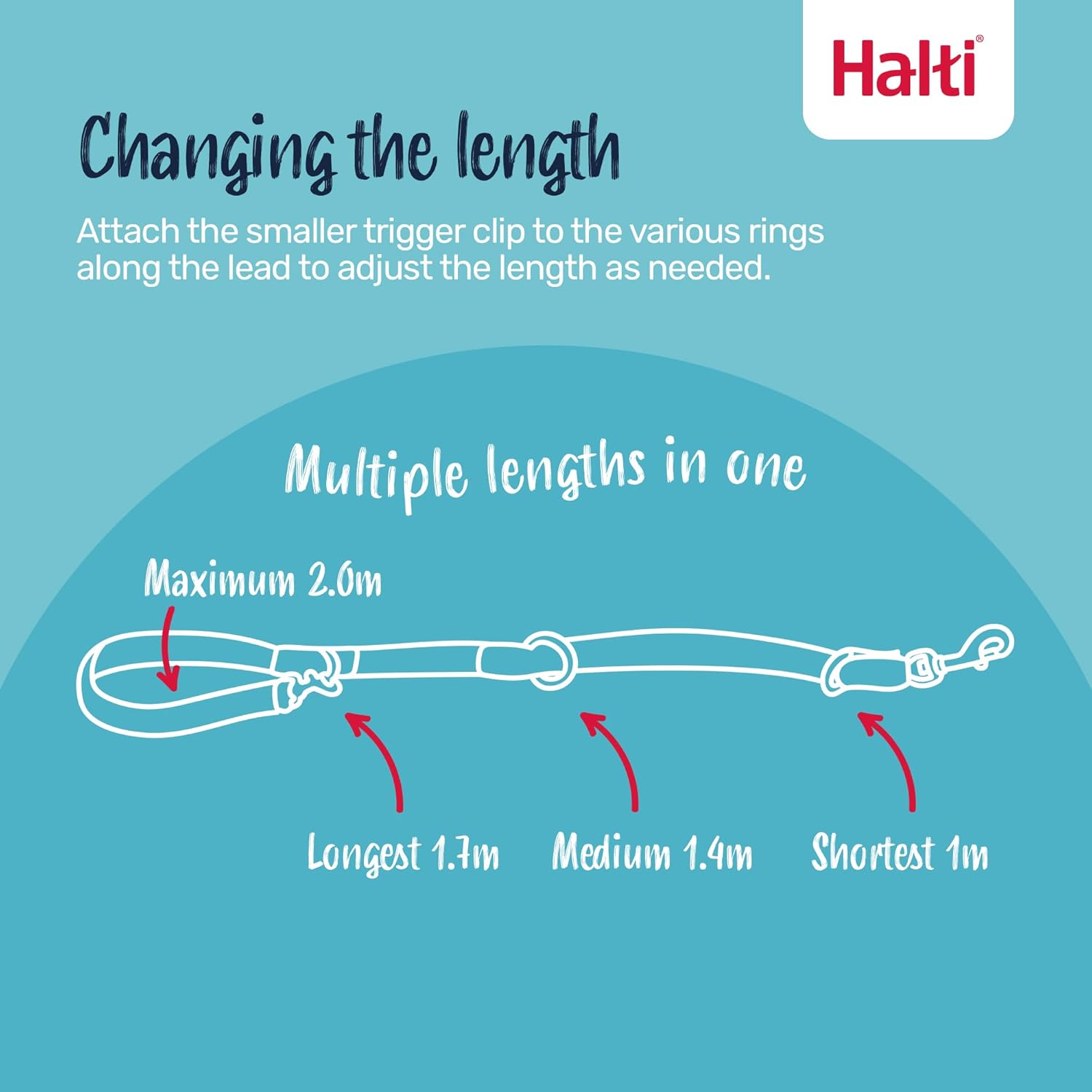 HALTI Headcollar Size 3, Black & HALTI Training... 21 HALTI Headcollar Size 3, Black & HALTI Training...