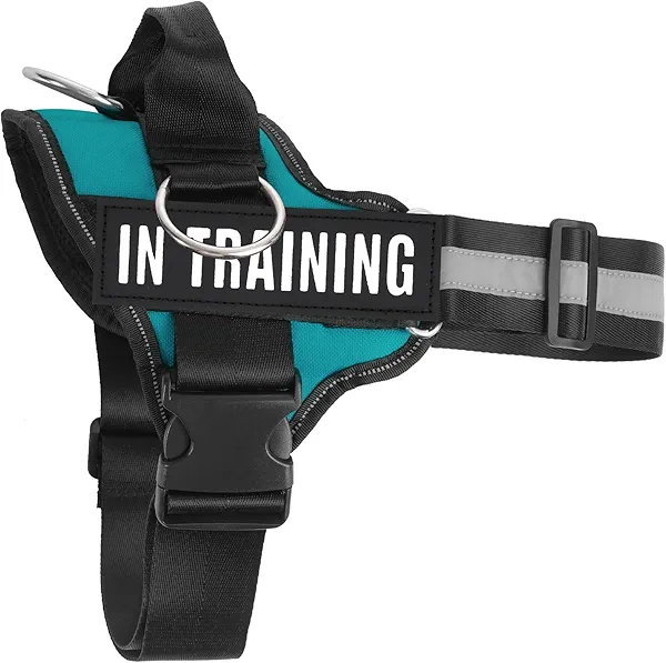 JUSTYEZI Essential Dog Harness with 3 Leash Clips - No-Pull, Adjustable, Comfortable Pet Vest Harness for Small to Large Dogs - Easy On, No Choke, Reflective, Padded Harness for Walking and Training