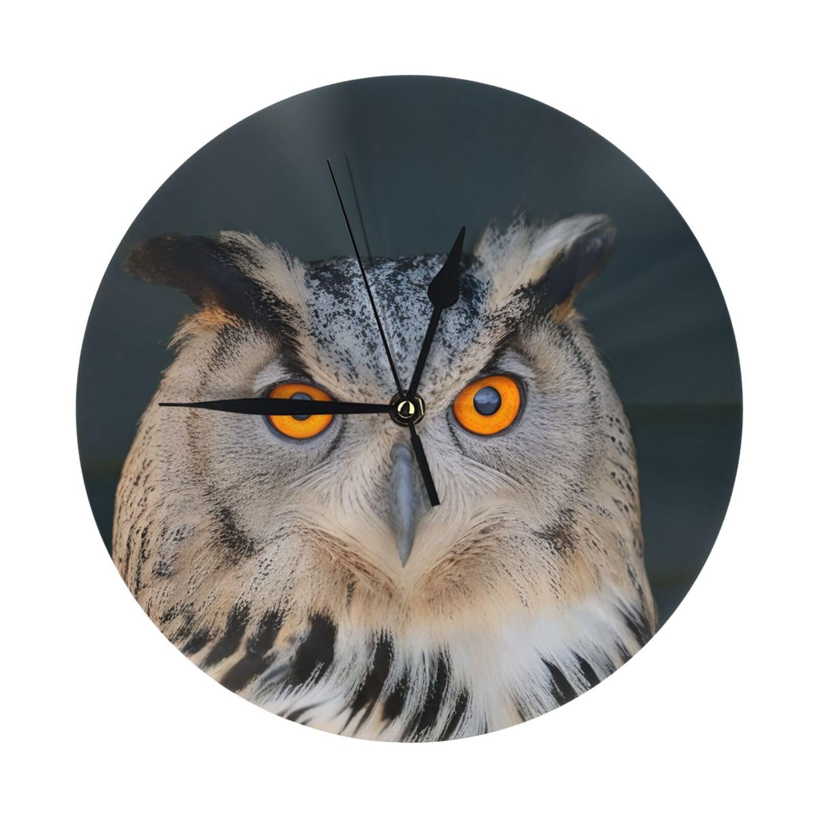 Horloge murale hibou bleu 25 cm silencieuse pour salon et cuisine