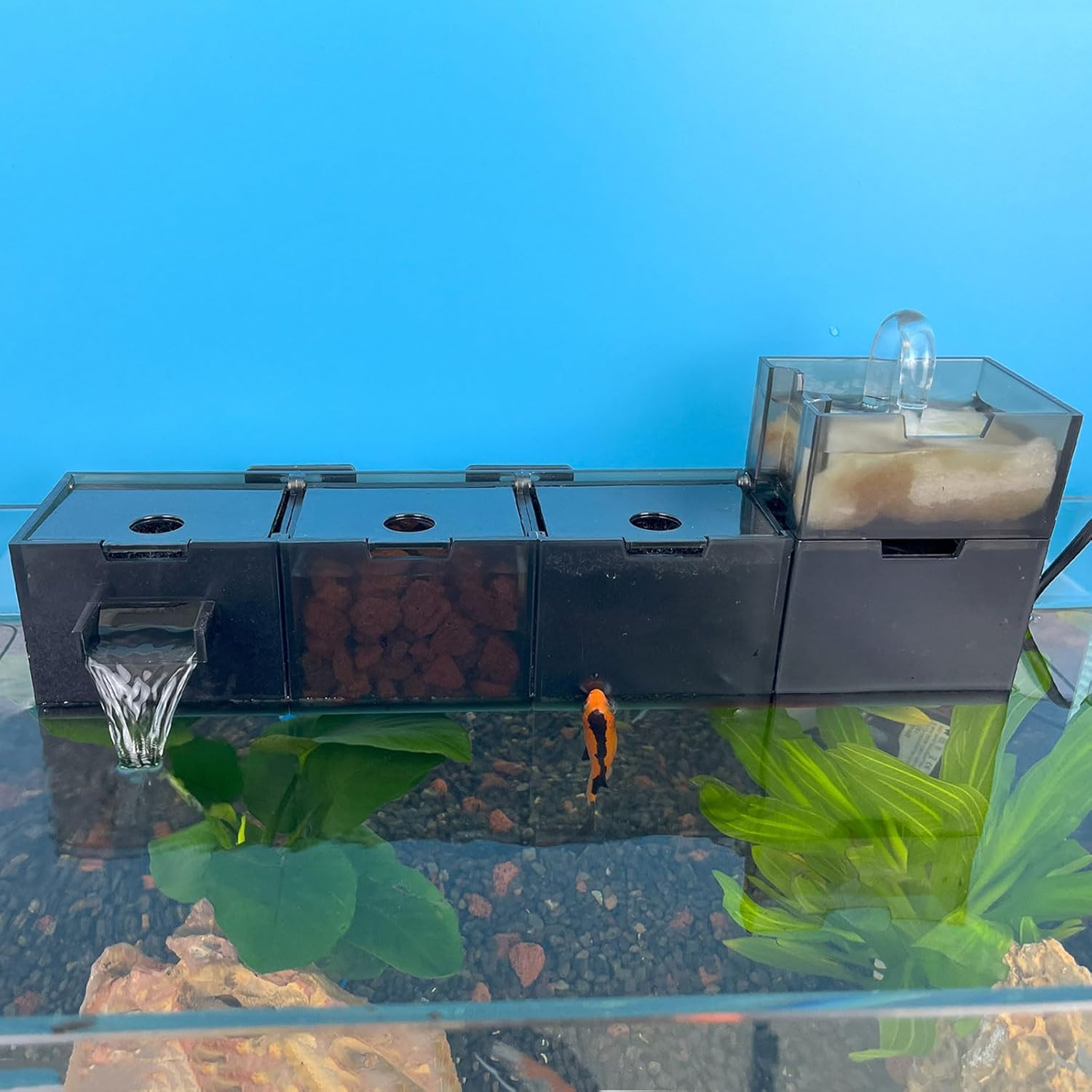 Aquarium MultiStage Filtration Sumps for Fish and Turtle
