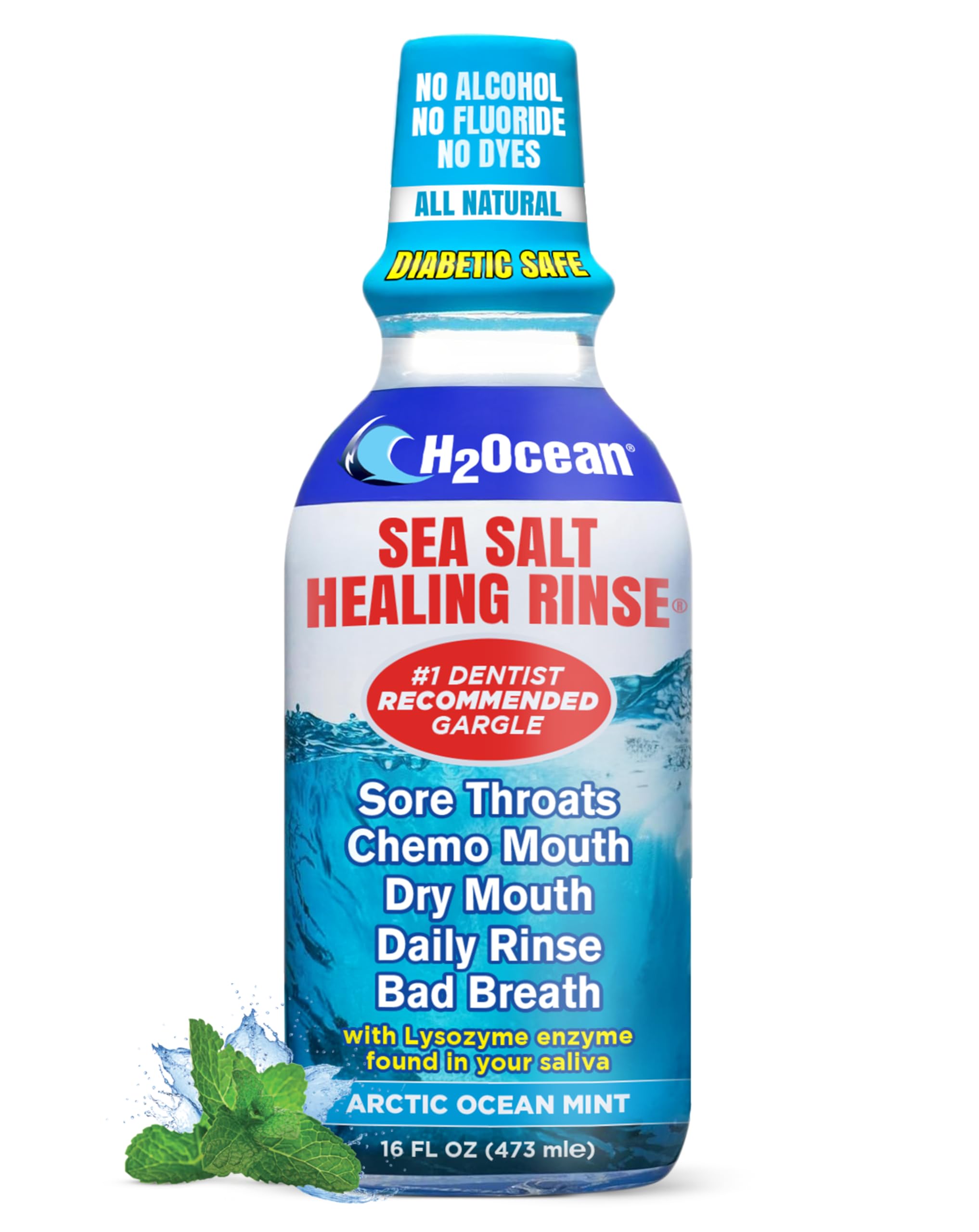 H2Ocean Arctic Ocean Rinse Mouthwash, 16 Fluid Ounce