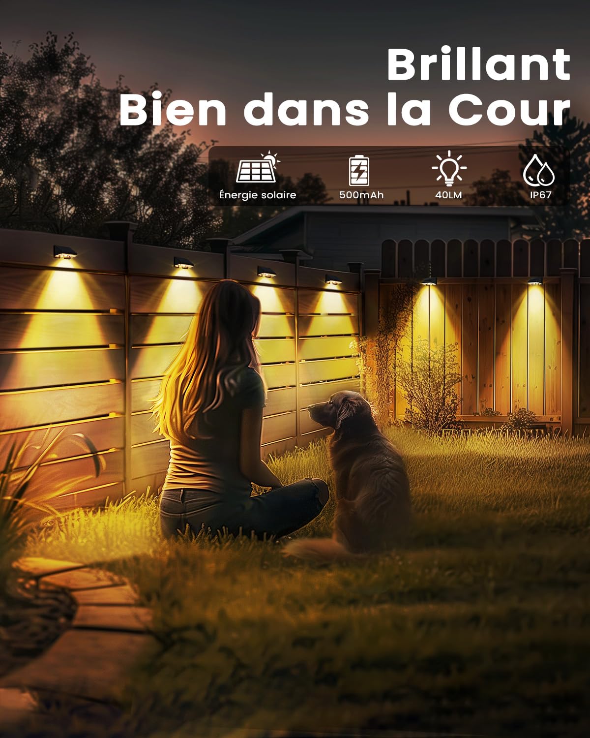 Applique Solaire Exterieur 16 Unités Lumiere Solaire Extérieur Blanc Chaud Lampe Solaire Murale Exterieur Étanche avec Joli Éclairage d'ambiance pour Clôture, Mur et Jardin