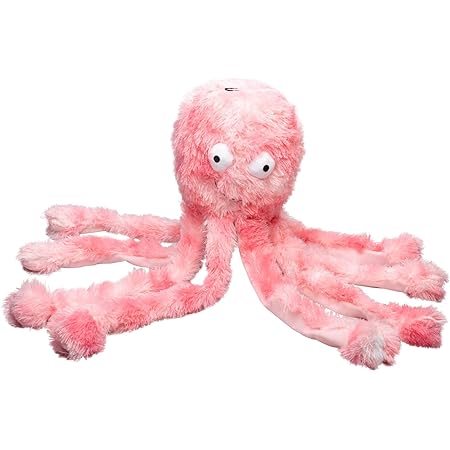 gorpets octopus