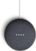 مكبر صوت بلوتوث لاسلكي من الجيل الثاني من Google Nest Mini (Anthracite)
