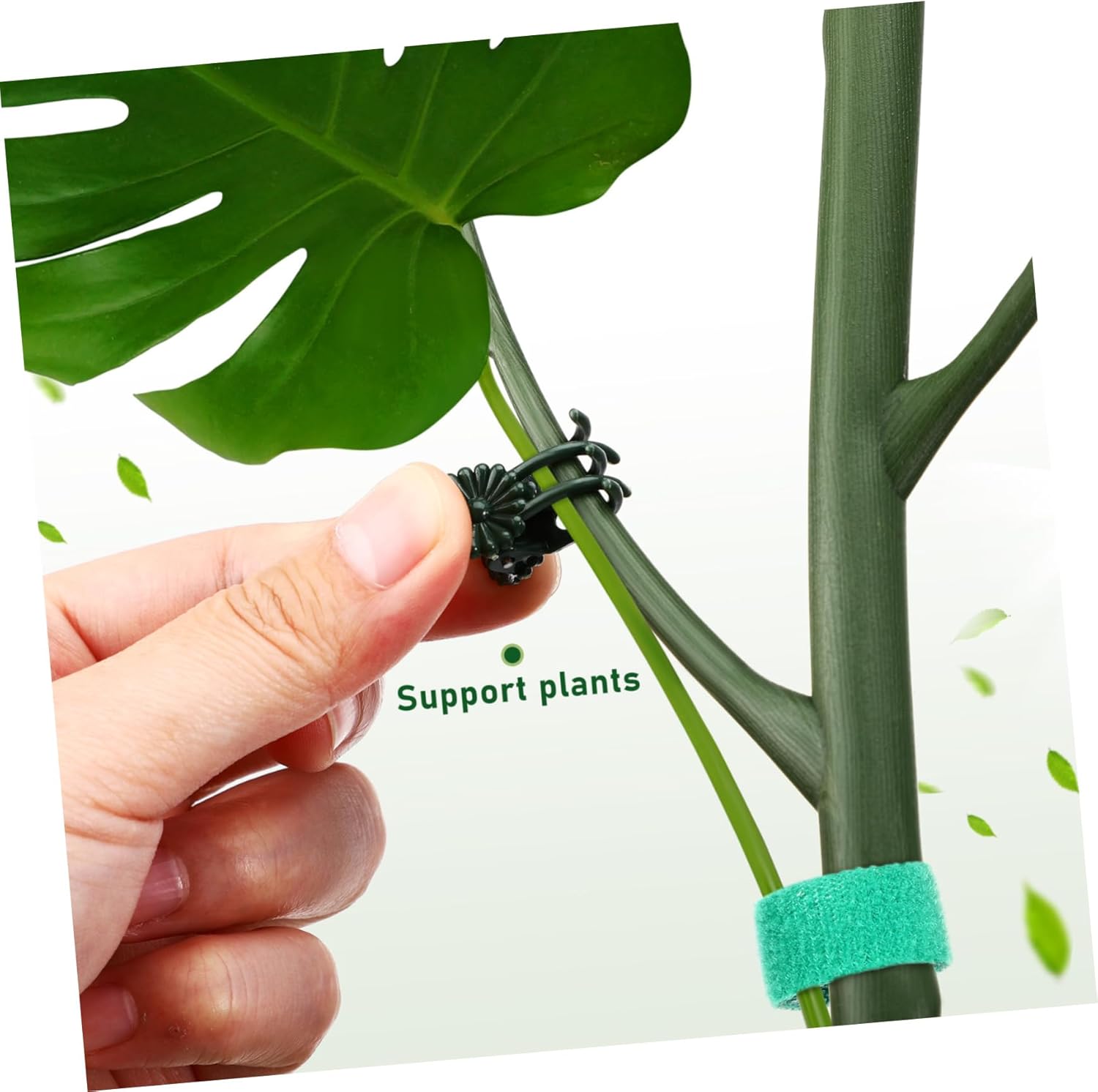 Plant Support Sticks for Vines Monstera Plant Support Stems Easy to Install