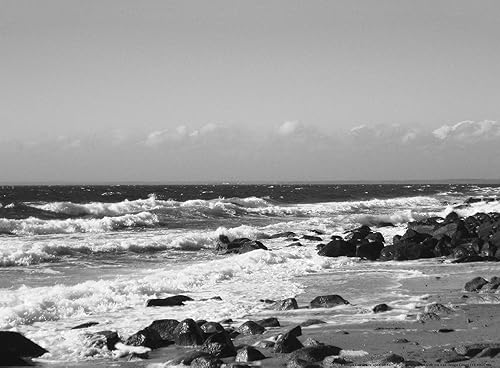 buyartforless CAN JC006 - Lienzo decorativo para pared, 12 x 16 pulgadas, color blanco y negro buyartforless CAN JC006 - Lienzo decorativo para pared, 12 x 16 pulgadas, color blanco y negro