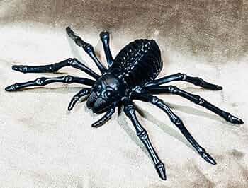 1点もの 巨大 蜘蛛 スパイダー スカル 灰皿 頭蓋骨 オブジェ にも 1点もの 巨大 蜘蛛 スパイダー スカル 灰皿 頭蓋骨 オブジェ にも