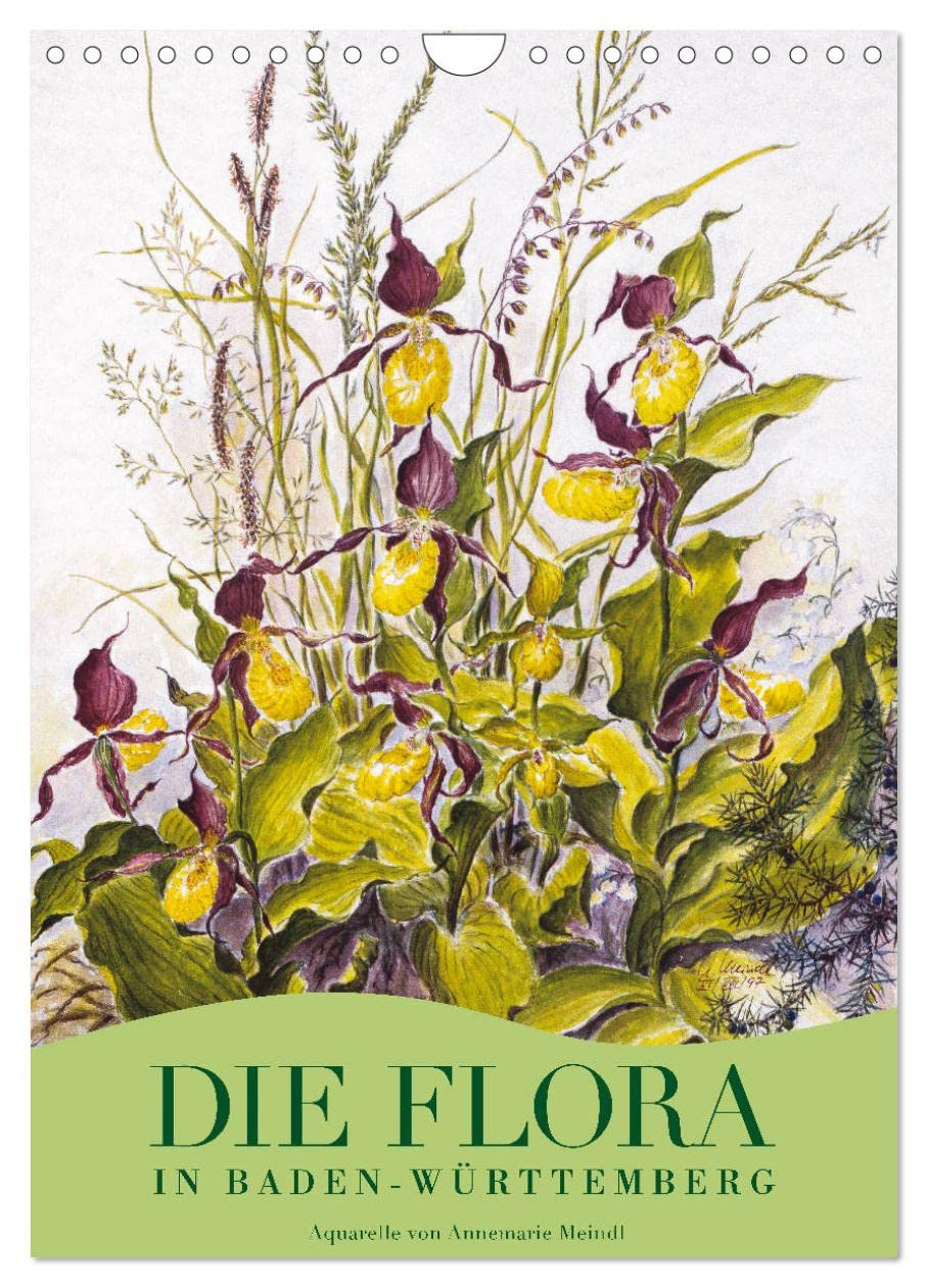 The flora in Baden-Württemberg (Wall Calendar 2024 DIN A4 Portrait), CALVENDO 12 Month Wall Calendar