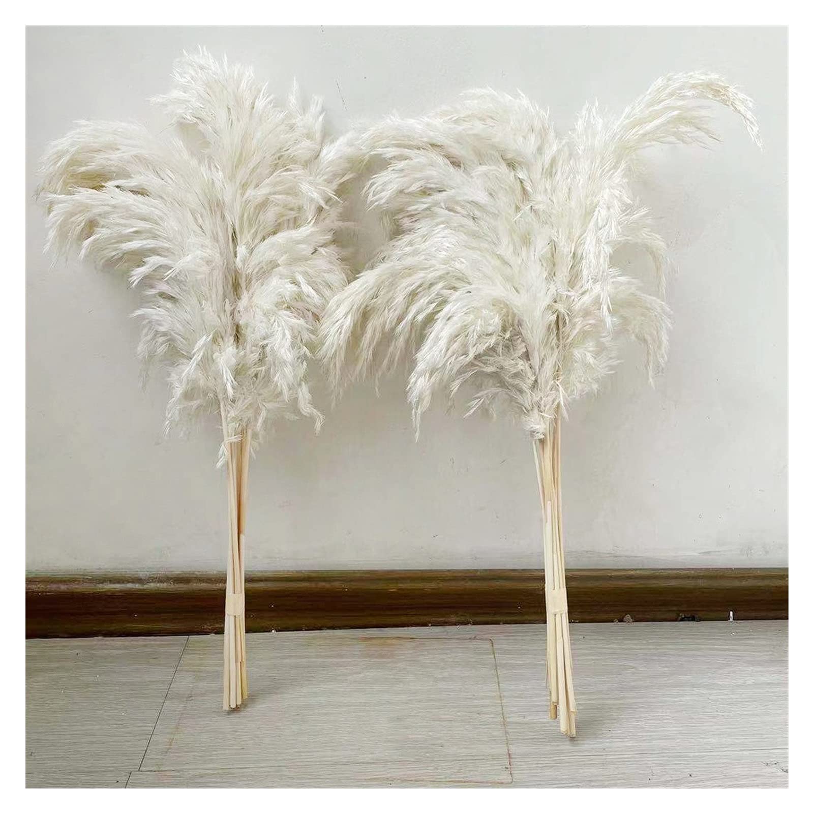 YANGQI Yaoqijie Herbe de pampa séchée de grande taille pour mariage ou décoration d'intérieur - Couleur : blanc - 20 tiges - Taille : L