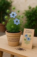 350 seeds to sow - The Loft of Plenty - Damascus Nigella - Nigella damascena