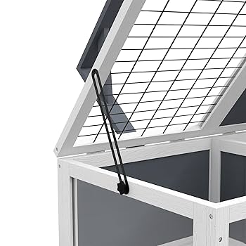 新品　CALMA STORE 38灯 Skelton Tortoise 消えゆく素材を新たな形で—鼈甲の輝きをLEDに込めて – calma