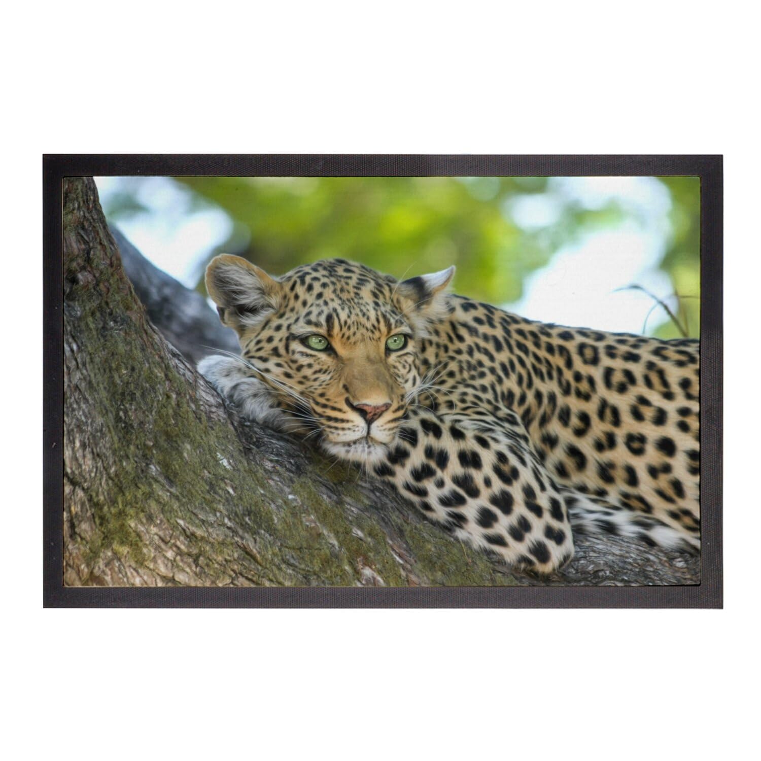 Paillasson léopard anti-poussière grand tapis entrée rectangulaire 75x50