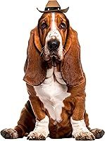 Vista 2 de Disfraz de sombrero vaquero Rubies para mascotas, M / L, Marrón