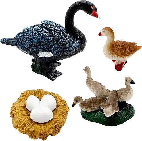 Juguetes de ciclo de vida, juguetes de cisne negro, juego de ciclo de vida de animales ideal para, juguetes de aprendizaje, educación temprana,